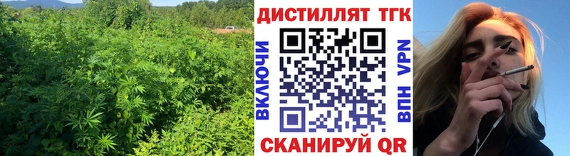 где продают наркотики  Краснокамск  ТГК гашишное масло 