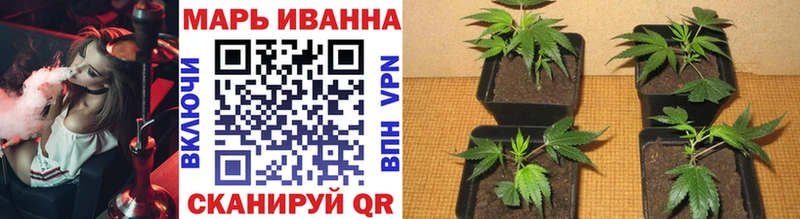 площадка состав  Краснокамск  Бошки марихуана план 