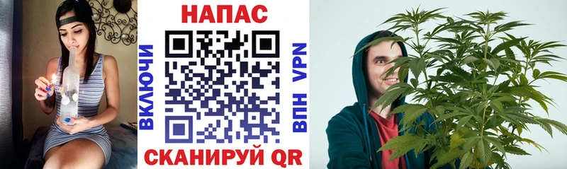 Бошки Шишки сатива Краснокамск